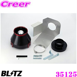 yX|Cgő39{vGg[ 2020~zBLITZ ubc No.35125 z_ FD2 VrbN ^CvRp J[{p[ RA^CvGAN[i[ CARBON POWER AIR CLEANER