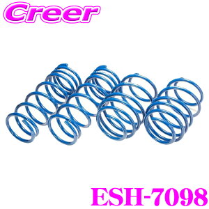 �y18������z�S�iP2�{�ȏ� �G�X�y���A ESH-7098 �X�[�p�[�A�b�v�T�X N-BOX JF3 2WD NA G (H29/9�`R2/11) �ԗ�1�䕪 �T�X�y���V���� �X�v�����O �ԍ��グ�� �p�[�c