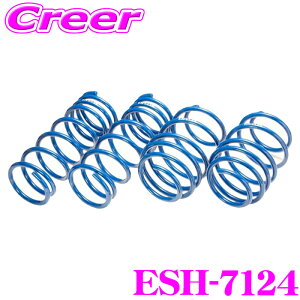 �y18������z�S�iP2�{�ȏ� �G�X�y���A ESH-7124 �X�[�p�[�A�b�v�T�X N-BOX�J�X�^�� JF3 2WD NA L �ԗ�1�䕪 �T�X�y���V���� �X�v�����O �ԍ��グ�� �p�[�c