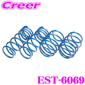 エスペリア EST-6069 RAV4 MXAA54 4WD G X 車両1台分 サスペンション スプリング 車高上げる パーツ