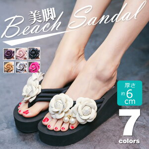 T_ r[`T_ gOT_ nCq[  r r ɂȂ Ȃ ₷  t[ ԏ y y  r[T fB[X ̎q  q l ^ p