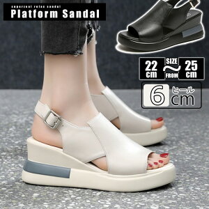 X|[cT_  fB[X T_ I[vgD EFbWT_ EFbW\[ Xj[J[ T_ r L y ʋC Xgbv v PU Vv JWA 