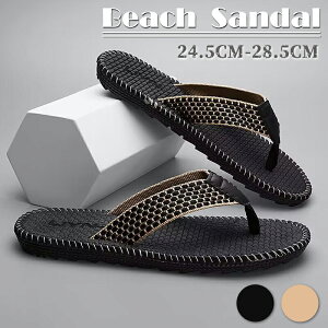 gOT_ T_ Y Xg[[ r[`T_  ₷ ɂȂ t  ][gT_ tbgT_ ₷ 傫TCY ~ JWA RtH[g 