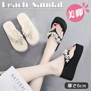 V! T_ fB[X r[`T_ gOT_ T_ EGbW\[ q[  @t CXg[t ^ _炩  v[ C ɂȂ 킢 