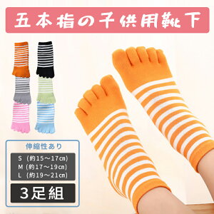 y3gzq C qpܖ{w\bNX LbY V[g\bNX  j̎q ̎q X|[c\bNX WjA 5{w {[_[  g    ӂӂ C 