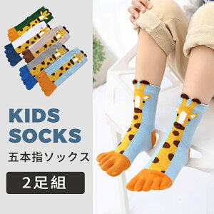 y2gzq C qpܖ{w\bNX LbY V[g\bNX  j̎q ̎q X|[c\bNX WjA 5{w L  g    ӂӂ C ʉ 