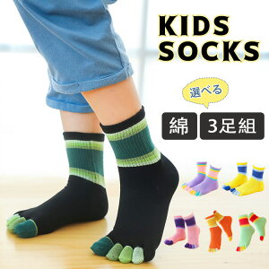 yIׂ3gzq C Zbg 5{w\bNX V[g\bNX ̎q Vv j̎q ǂ g 5{wC X|[c\bNX qp  5{w qǂp   ܖ{w\b