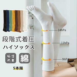 y2Zbgz\bNX 5{w VFCv\bNX nC\bNX C fB[X Y t  H~  g ₦Ƃ d˗ hL X|[c n  p jp ߕt