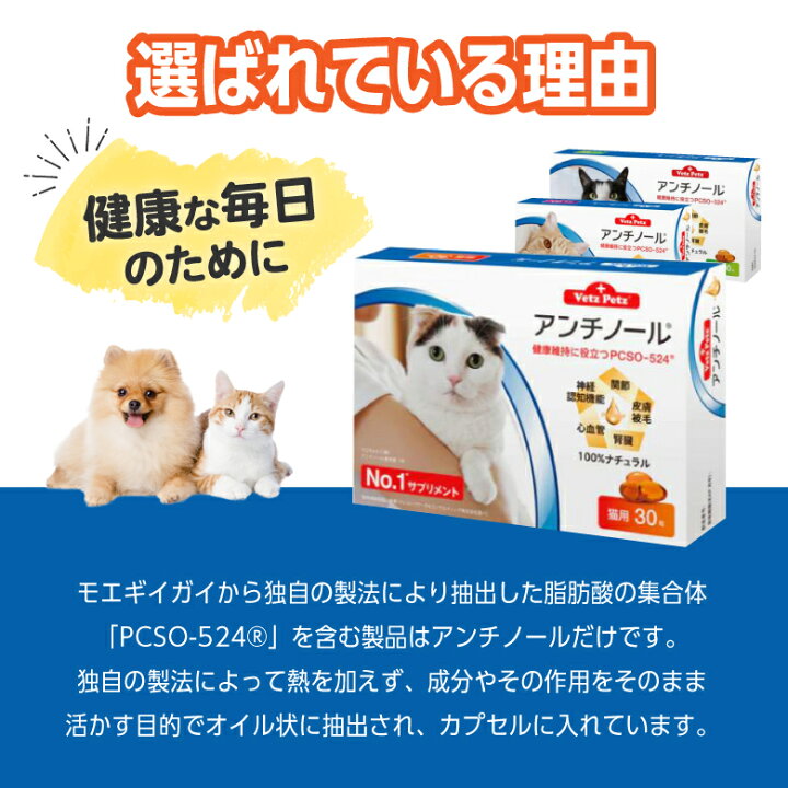 楽天市場】【複数購入 割引クーポン配布中】アンチノール 猫用サプリメント 90粒 : クレイディアコムズ楽天市場店 楽天市場】【複数購入 割引クーポン配布中】アンチノール 猫用サプリメント 90粒 : クレイディアコムズ楽天市場店