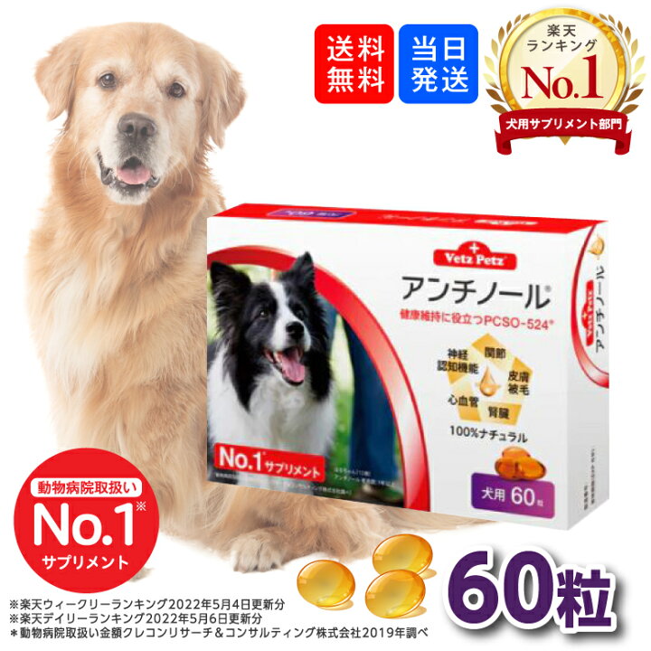今季一番 アンチノール 犬用サプリメント 30粒 Discoversvg Com