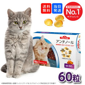 【複数購入 割引クーポン配布中】アンチノール 猫用サプリメント 60粒