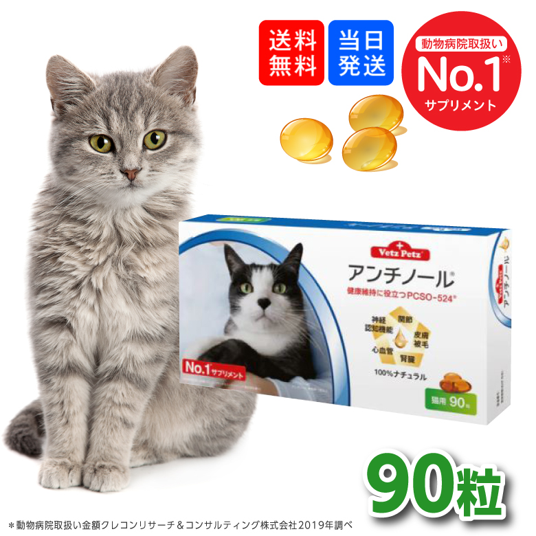 楽天市場】アンチノール 猫（ペット・ペットグッズ）の通販