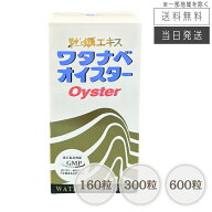 【まとめて購入でお得】ワタナベオイスター 160粒～600粒 牡蠣エキス