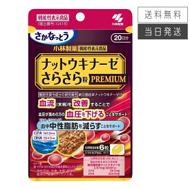 【複数購入 割引クーポン配布中】小林製薬 ナットウキナーゼ さらさら粒 プレミアム + 中性脂肪 約20日分 120粒