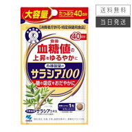 【複数購入 割引クーポン配布中】小林製薬 サラシア100 約40日分 120粒 大容量