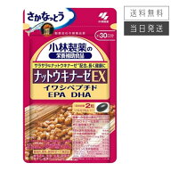 【複数購入 割引クーポン配布中】ナットウキナーゼEX 小林製薬 約30日分 60粒