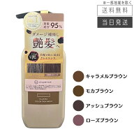 【複数購入 割引クーポン配布中】CLAYENCE クレイエンス クレイスパ カラートリートメント 235g キャラメ…