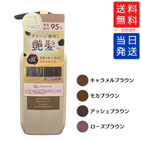 【複数購入 割引クーポン配布中】CLAYENCE クレイエンス クレイスパ カラートリートメント 235g キャラメルブラウン ／ モカブラウン ／ アッシュブラウン / ローズブラウン