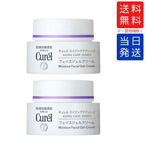 y܂Ƃ߂čwłzL GCWOPA WFN[ 40g