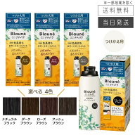 【複数購入 割引クーポン配布中】花王 ブローネ ナチュリラ 色長持ちカラートリートメント つけかえ用 15…