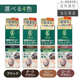 【複数購入 割引クーポン配布中】利尻カラーシャンプー 200ml ブラック / ダークブラウン / ハニーブラウン / ローズブラウン