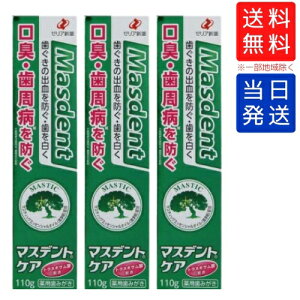 y܂Ƃ߂čwłz[AV }XfgPA 110g p݂