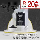 ［ポイント20倍★14日10:00～9:59マデ］【公式】 クレムドアン ブラッククリームシャンプー 400g 黒髪 潤い ツヤ カラーケア ノンシリコン ノンジアミン オーガニック オールインワンシャンプー クリームシャンプー リンスインシャンプー
