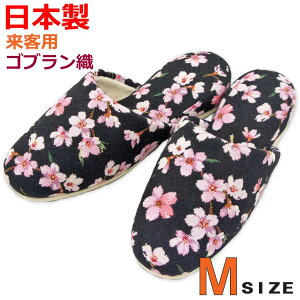 Xbp qp Suݍ MTCY 24.5cm܂ {    ؂₩ U[