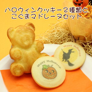 nEBNbL[2Ƃ܃}h[kZbg bZ[W Cxg LOi v`Mtg