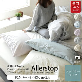 わけあり 枕カバー 日本製 43×63cm枕用 薬を使わない防ダニ まくらカバー アトピー協会推薦・エコテックス認証品アレルストップ/d.cut ピローケース 訳あり アウトレット