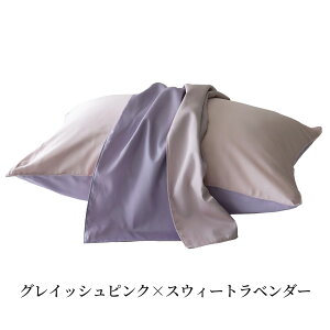 y20Point 7{z [40˔j yV1] {  Jo[ s[P[X 50×70cm m[u VN̂悤ȉ 100 Te 80Ԏɍ׎ zedl h_j k   ~p 
