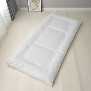 y10撅10%OFFz { aN tbgV[c VO   H ~p _uK[[ 100 z ӂӂ ӂƂ Rbg k  ɂ₳ I[V[