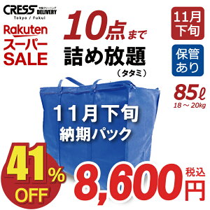 【お買い得商品!】 クリーニング 10点 詰め放題 保管あり 宅配 送料無料 ダウン 枚数制限なし 入れ放題 保管 宅配クリーニング 衣替え 新生活 ポイント クーポン 抗菌 除菌 高品質 11月下旬まで保管 クレス クリーニング