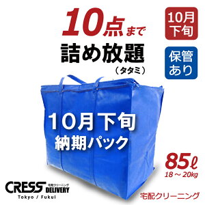 クリーニング 10点 詰め放題 保管あり 宅配 送料無料 ダウン 枚数制限なし 入れ放題 保管 宅配クリーニング 衣替え 新生活 ポイント クーポン 抗菌 除菌 高品質 10月下旬まで保管 クレス クリーニング