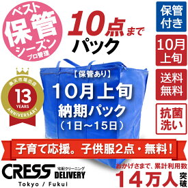 【500円OFFクーポン付き】子育て応援。子供服2点・無料！ 【送料無料】 【10月上旬パック・10点】 宅配クリーニング 保管 宅配 クリーニング 詰め放題 ダウン 枚数制限なし 宅配クリーニング クレス 保管サービス