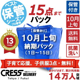【1,000円OFFクーポン付き】子育て応援。子供服3点・無料！ 【送料無料】 【10月上旬パック・15点】 宅配クリーニング 保管 宅配 クリーニング 詰め放題 ダウン 枚数制限なし 宅配クリーニング クレス 保管サービス 保管付き