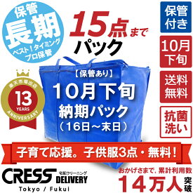 【1,000円OFFクーポン付き】子育て応援。子供服3点・無料！ 【送料無料】 【10月下旬パック・15点】 宅配クリーニング 保管 宅配 クリーニング 詰め放題 ダウン 保管付き 上位 クレス クリーニング 保管クリーニング 15点