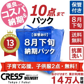 【500円OFFクーポン付き】子育て応援。子供服2点・無料！ 【8月下旬パック10点】 宅配クリーニング 保管 詰め放題 宅配 ダウン 枚数制限なし 宅配クリーニング シミ抜き クレス 保管クリーニング クリーニング 保管付き 10点