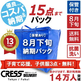【1,000円OFFクーポン付き】子育て応援。子供服3点・無料！ 【送料無料】 【8月下旬パック・15点】 宅配クリーニング 保管 詰め放題 宅配 ダウン 枚数制限なし シミ抜き 洗い クレス クリーニング 保管クリーニング 保管 クリーニング 15点