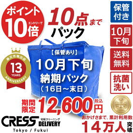 【500円OFFクーポン付き・6/11まで】&【全品ポイント10倍！★ 楽天スーパーSALE対象商品】＼圧倒的なコスパ最強価格！衣替え限定セール！／ クリーニング 【楽天1位】 【送料無料】 【10月下旬パック・10点】 宅配クリーニング 詰め放題 入れ放題 ダウン 保管クリーニング