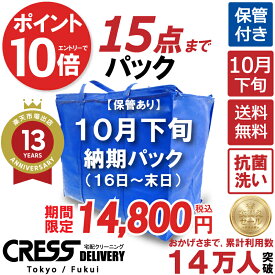【1,000円OFFクーポン付き・6/11まで】&【全品ポイント10倍！★ 楽天スーパーSALE対象商品】＼圧倒的なコスパ最強価格！衣替え限定セール！／ 【楽天1位】 【送料無料】 【10月下旬パック・15点】 宅配クリーニング 保管 宅配 クリーニング 詰め放題 ダウン制限なし 保管付き