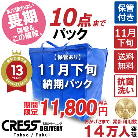 クリーニング 【SALE 今すぐ使える！500円OFFクーポン付き】 ＼圧倒的なコスパ最強価格！衣替え限定セール！／ 【楽天1位】 【送料無料】 【11月下旬パック・10点】宅配クリーニング 保管 宅配 クリーニング 詰め放題 宅配 クレス 500