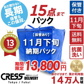 クリーニング 【SALE 今すぐ使える！1,000円OFFクーポン付き】 ＼圧倒的なコスパ最強価格！衣替え限定セール！／ クリーニング 【楽天1位】 【送料無料】 【11月下旬パック15点】宅配クリーニング 保管 ダウン 宅配クリーニング 詰め放題 保管 1000