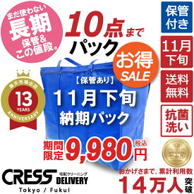 クリーニング 【SALE 今すぐ使える！500円OFFクーポン付き】 ＼圧倒的なコスパ最強価格！衣替え限定セール！／ 【楽天1位】 【送料無料】 【11月下旬パック・10点】宅配クリーニング 保管 宅配 クリーニング 詰め放題 宅配 クレス 500