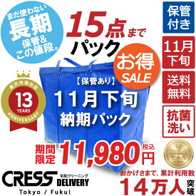 クリーニング 【SALE 今すぐ使える！1,000円OFFクーポン付き】 ＼圧倒的なコスパ最強価格！衣替え限定セール！／ クリーニング 【楽天1位】 【送料無料】 【11月下旬パック15点】宅配クリーニング 保管 ダウン 宅配クリーニング 詰め放題 保管 1000
