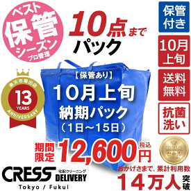 クリーニング 【SALE 今すぐ使える！500円OFFクーポン付き】 ＼圧倒的なコスパ最強価格！衣替え限定セール！／ クリーニング【楽天1位】【送料無料】 【10月上旬パック・10点】 宅配クリーニング 保管 宅配 クリーニング 詰め放題 ダウン制限なし 500