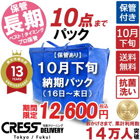 クリーニング 【SALE 今すぐ使える！500円OFFクーポン付き】 ＼圧倒的なコスパ最強価格！衣替え限定セール！／ 【楽天1位】 【送料無料】 【10月下旬パック・10点】 宅配クリーニング 詰め放題 入れ放題 ダウン 保管クリーニング 500