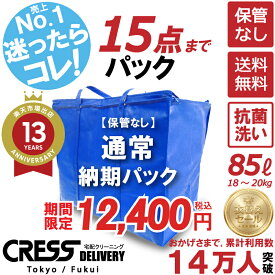 クリーニング 【SALE 今すぐ使える！500円OFFクーポン付き】 ＼圧倒的なコスパ最強価格！衣替え限定セール！／ 【楽天1位】 クリーニング 【送料無料】【通常パック15点】宅配クリーニング 宅配 クリーニング 保管 詰め放題 ダウン枚数制限なし 500