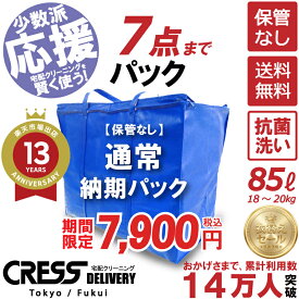 クリーニング ＼圧倒的なコスパ最強価格！衣替え限定セール！／ 【楽天1位】【送料無料】 【通常パック7点】宅配クリーニング 保管 宅配 クリーニング 詰め放題 ダウン 枚数制限なし クレス 保管サービス 宅配 7点