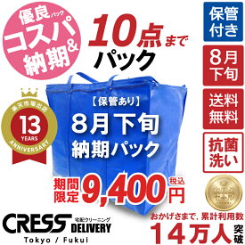クリーニング ＼圧倒的なコスパ最強価格！衣替え限定セール！／ クリーニング 【8月下旬パック10点】 宅配クリーニング 保管 詰め放題 宅配 ダウン枚数制限なし 宅配クリーニング クレス 保管クリーニング ランキング 上位店